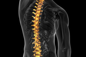 Lire la suite à propos de l’article Troubles musculo-squelettiques (TMS)